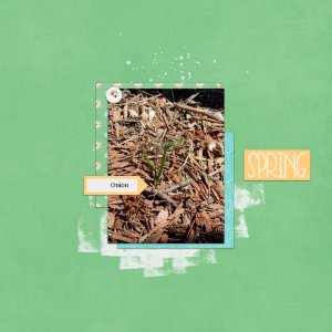 Spring