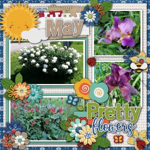 Flowers in May