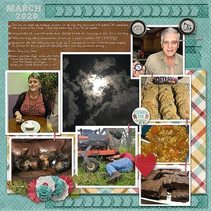 GSDesiSpot420-Mar2020Review