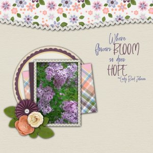 Where Flowers Bloom