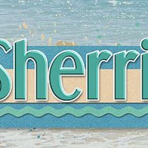 April 2020 Signature Challenge Sherri
