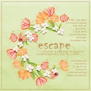 My Escape