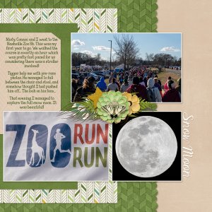 Zoo Run Pt 2