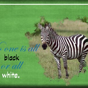 ATC 2020-079 Black or White