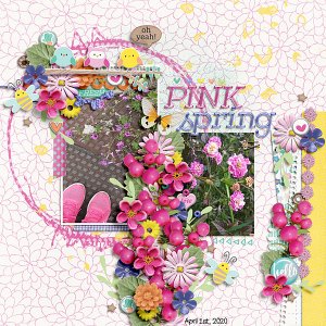 Pink spring