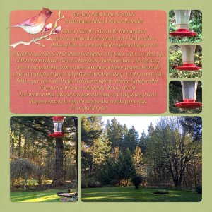 DandelionDustDesign-Storytelling_the thing I like to do outside
