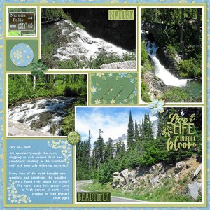 Mount Rainier Narada Falls + Wildflowers