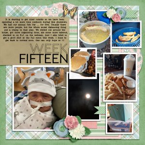 Week 15