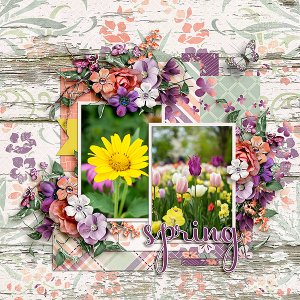 Spring