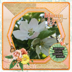 bloom and grow