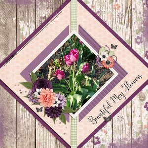 beautiful may flowers