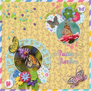 Butterfly Garden