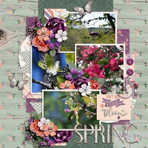 Longing for spring