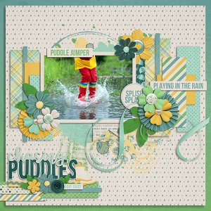 puddle jumper