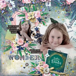 Wonder
