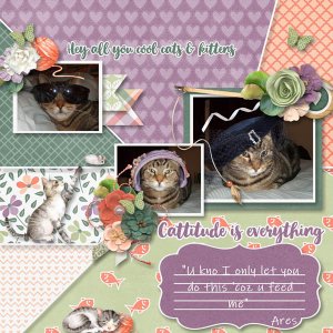 Cattitude Is Everything