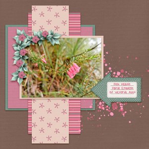 Pink Heath