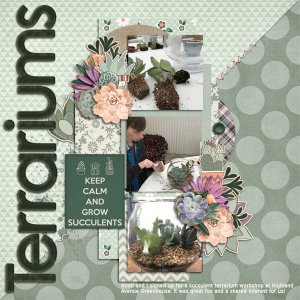 Terrariums