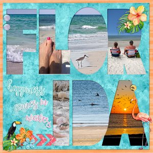 FLORIDA [beaches]