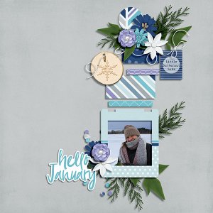 Hello Jan.