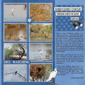 Bird Watching