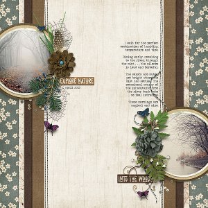 Into the Woods