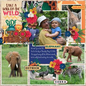 NC Zoo