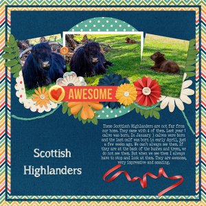 Scottish Highlanders