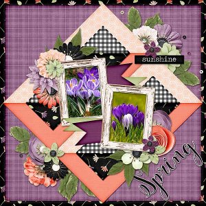 Spring