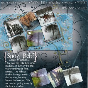 Snow Belt?