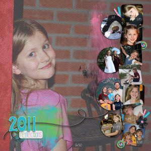 2011 Reflections