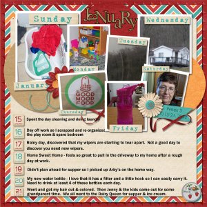 Week 3 - Jan 15-21