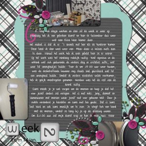 week 2-1