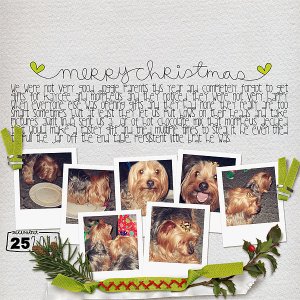 020-01-12-ChristmasDayByCFALBRO