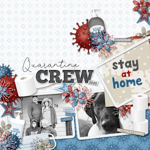 Quarantine Crew