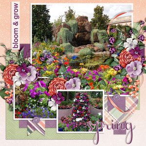 Spring-Bloom-_-Grow