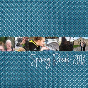 gallery_spring_break_cover