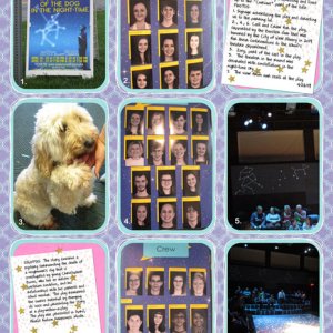 Curious Incident