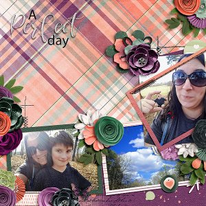 A Perfect Day