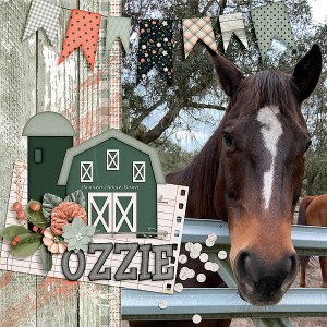 Ozzie