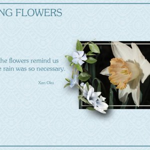 Spring Flowers