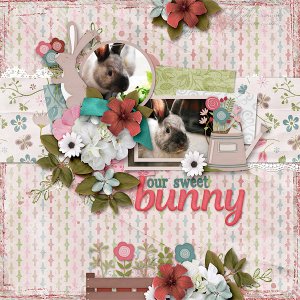 Our Sweet Bunny