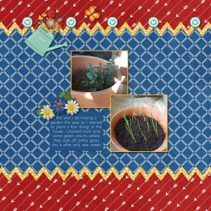 Indoor Planting