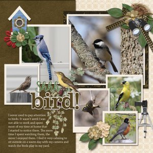 Bird Watcher