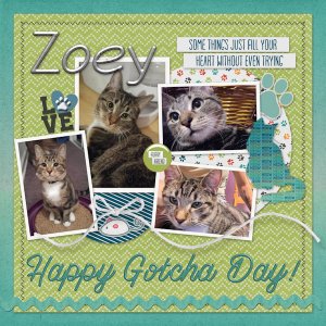 Happy Gotcha Day Zoey