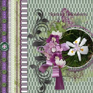 Spring Flowers