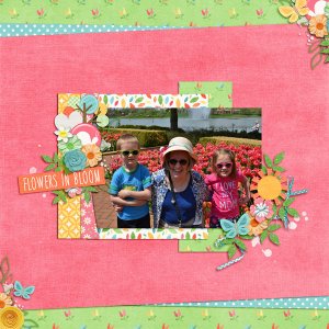 Flowers in Bloom