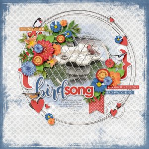 Bird Song