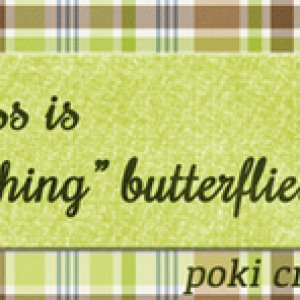 ...happiness is "catching" butterflies ...