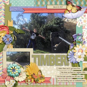 Timber